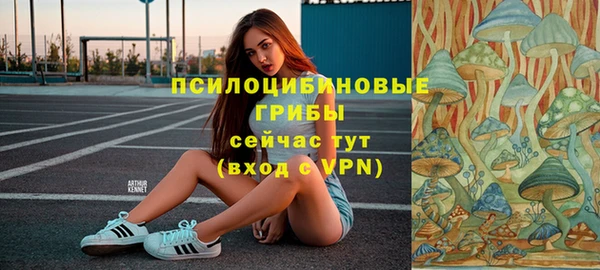 эйфоретик Алексин