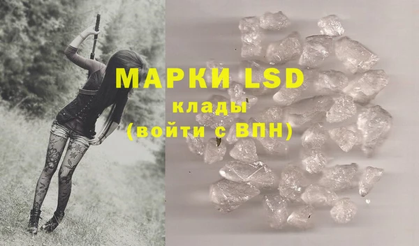 PSILOCYBIN Алексеевка