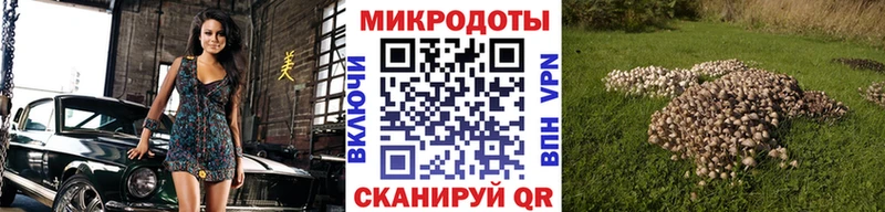 цена   omg зеркало  Галлюциногенные грибы мухоморы  Куйбышев 